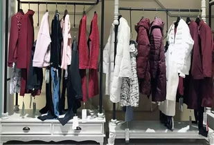 2018年中國服裝行業(yè)經(jīng)濟運行分析 縮減版,下